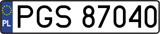 PGS87040