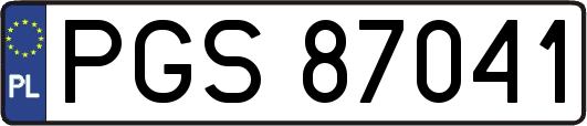 PGS87041