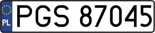 PGS87045