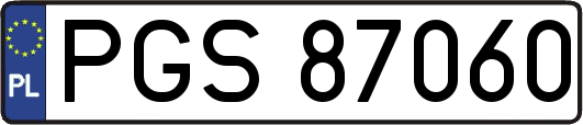 PGS87060