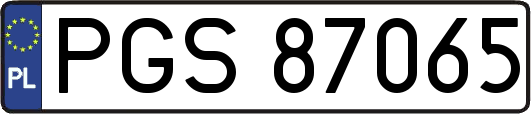 PGS87065