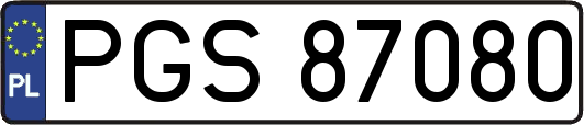 PGS87080