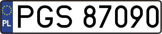 PGS87090