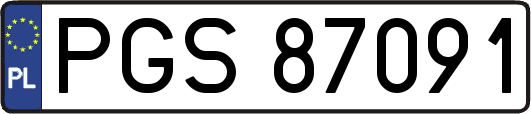 PGS87091
