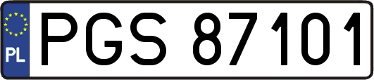 PGS87101