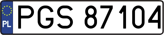 PGS87104