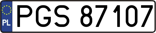 PGS87107