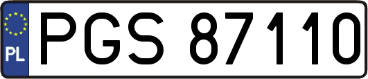 PGS87110