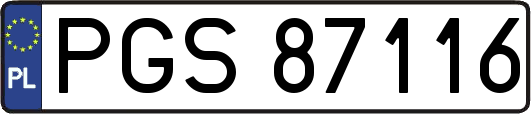 PGS87116