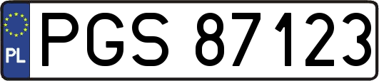 PGS87123