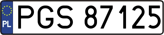 PGS87125
