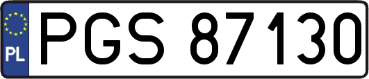 PGS87130