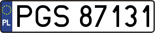 PGS87131