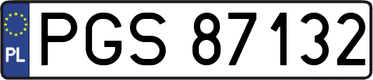 PGS87132