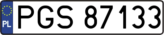 PGS87133