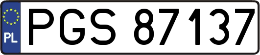 PGS87137