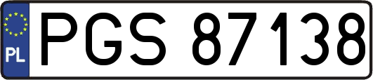 PGS87138