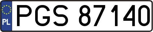 PGS87140