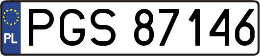 PGS87146
