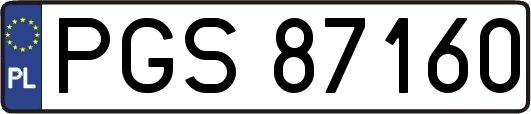 PGS87160