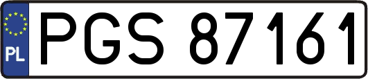 PGS87161