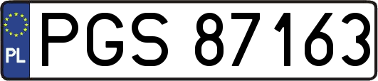 PGS87163