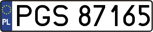 PGS87165