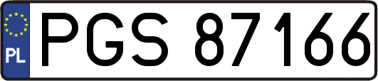 PGS87166
