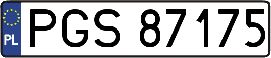 PGS87175