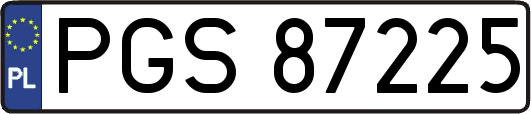 PGS87225