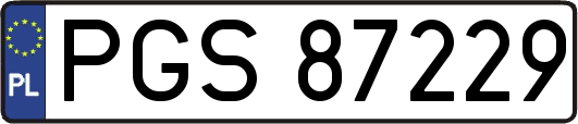 PGS87229