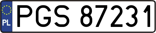 PGS87231