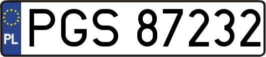 PGS87232
