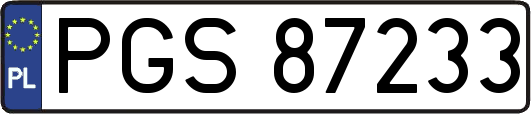 PGS87233