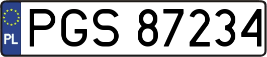 PGS87234