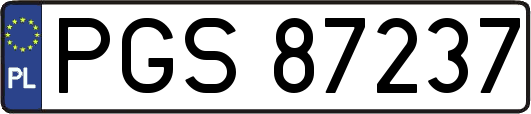 PGS87237
