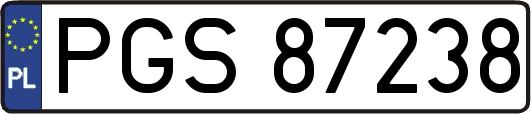 PGS87238