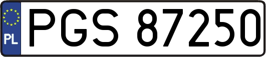 PGS87250