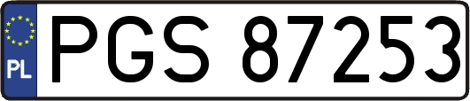 PGS87253