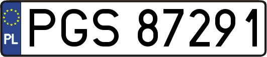 PGS87291