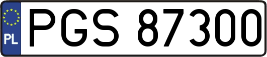 PGS87300