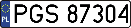 PGS87304