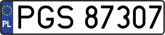 PGS87307