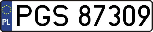 PGS87309