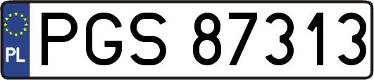 PGS87313
