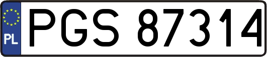 PGS87314