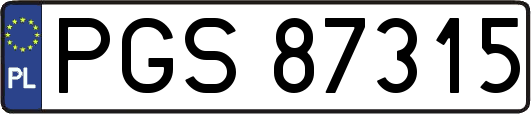 PGS87315