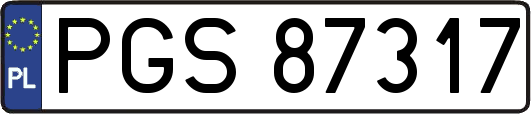 PGS87317