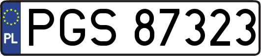 PGS87323