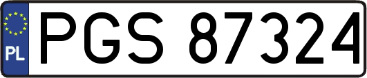 PGS87324